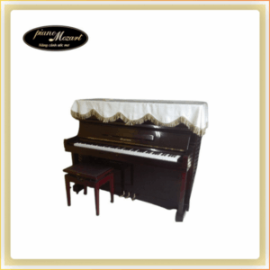 ĐÀN PIANO MORGENSTERN