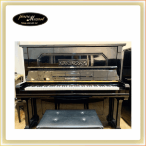 PIANO ROSENKRANZ RK20