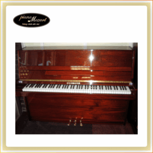 PIANO STEINMEYER TS200