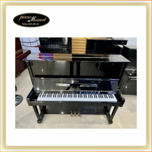 PIANO EREIZEN 220E