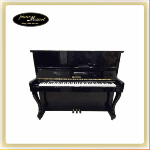 PIANO BROTHER