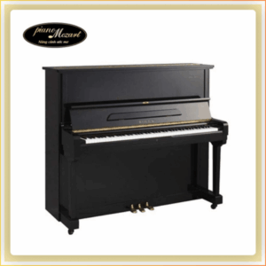 PIANO ROLEX