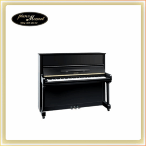 PIANO YOUNG CHANG U121