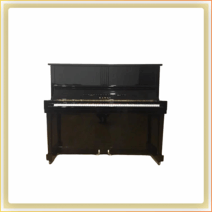 ĐÀN PIANO KAWAI BS10