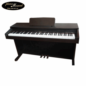 PIANO COLUMBIA EP1300