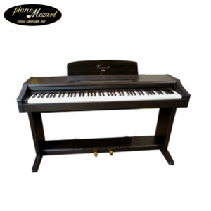 PIANO KORG C303
