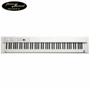 Piano Korg D1